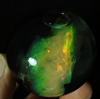 RARE Multi Color Petrified Wood Opal Gem Specimen Virgin Valley Nevada