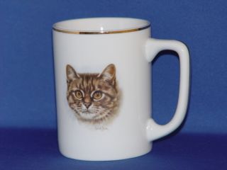 Tabby Kitten Cat Fine China Coffee Mug Derick Bown