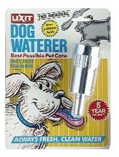  dog from thirst dehydration and communicable diseases install this