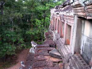 baphuon temple at angkor thom complex a dinh