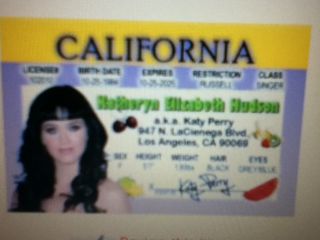 Fun Diva Katy Perry California Drivers License
