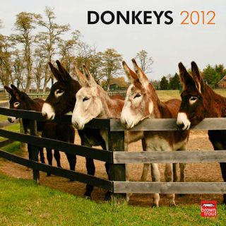 product description donkeys 2012 wall calendar this is a 2012