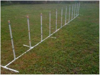 Dog Agility Equipment 12 Weave Poles Adjustable Angle and Spacing Free