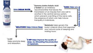 Dream Water Sleep & Relaxation Shot, Snoozeberry 2.5 FL oz Blueberry