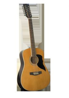 EKO 12 String Ranger Acoustic as Used by Jimmy Page