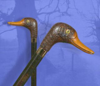 Classic Canes Duck Head Hardwood Cane / Walking Stick. Collectors Cane