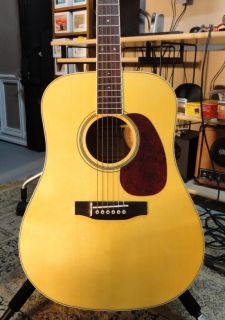 Potomac by Eastman PVD 18 Solid Top Dreadnought with Hardshell Case SN