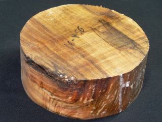 Maple wood bowl blank 3 1 4 x 8 1 2 for lathe turning 06 45G