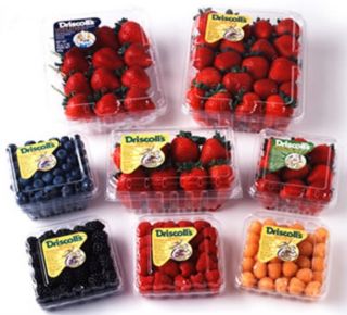 Free Driscolls Fresh Berries Fruit Coupons