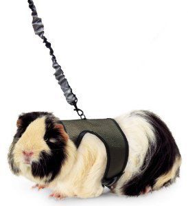 Super Pet Nylon Comfort Harness Plus Stretchy Leash for Small Animal