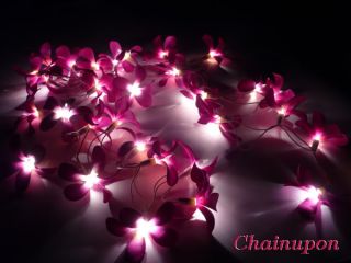 Each light is hand crafted for a beautiful Frangipani light flower