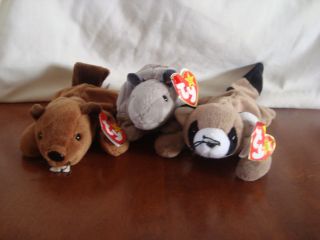 Ty Beanie Baby Varmints collection