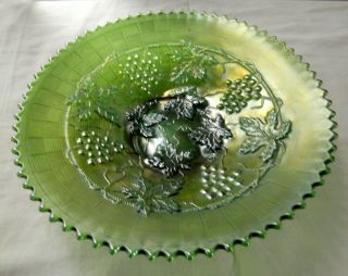 ANTIQUE NORTHWOOD GREEN CARNIVAL GLASS GRAPE AND CABLE VARIANT 9 PLATE