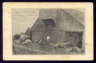 Elnora Indiana Cattle Horse Killed by Lightning Ashland Ohio Rods 1919