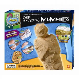 Our Amazing Mummies   Ancient Egypt History Craft Toy at