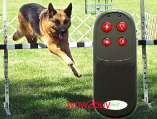 Remote Electronic Dog Training Collar Shock Vibration