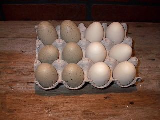 Country Farm Wooden Dozen Chicken Eggs Brown White