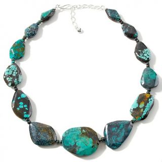 Jay King Graduated Hubei Turquoise Sterling Silver 18 1/2 Necklace at
