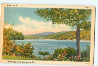 Vintage Postcard Greetings from Equinunk PA Scenic View