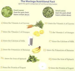 Copy+of+Moringa+Nutritional+Facts+Pic