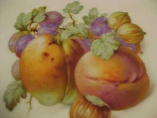 eschenbach bavaria baronet china fruit plate this is a lovely 8 fruit