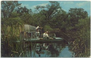 Airboat in The Everglades of Florida Vintage Postcard