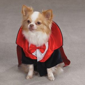 Dog Dogicula Dracula Halloween Costume Twilight Pet Clothes Vampire XS