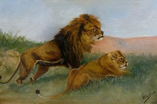 Antique salon oil. Young lions on grassy African savanna. 1890