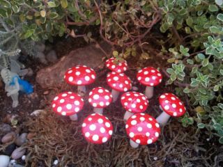 10 miniature fairy garden accessories mushrooms toadstools terrarium
