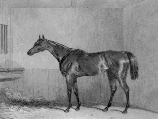 Horse Racing Oaks Winner Oxygen Antique Print 1830S