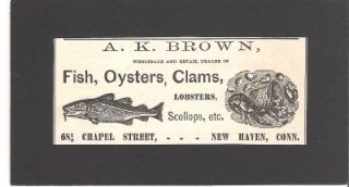 1800 s a k brown fish oyster clams ad new haven ct