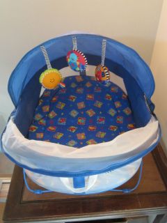 Baby Infant Fisher Price Bounce N Play Activity Dome