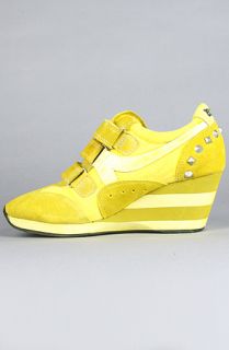 Ash Shoes The Alfa Sneaker in Yellow Concrete