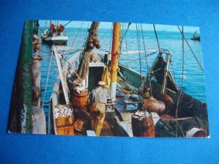 UNLOADING FISH FROM A CAPE COD FISHING BOAT VINTAGE POSTCARD