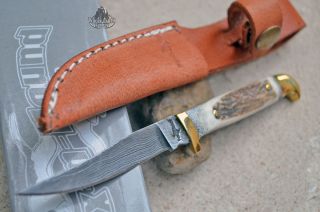 Fox N Hound Knife Knives Hunting Fishing Small Game Cool Damascus