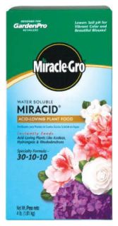 Miracle Gro 166001 4 lb Miracid Acid Plant Fertilizer