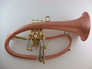 taylor phat boy flugelhorn in lacquer new