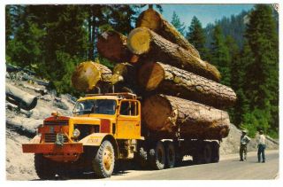 1956 MACK LOGGING TRUCK Fort Bragg CA OR WA Old Growth HUGE Trees