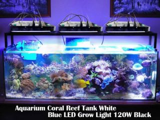 Aquarium Coral Reef Fish Tank White Blue LED Grow Light 120W