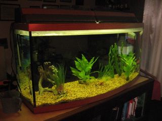  72 Gallon Fish Tank Aquarium