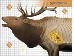 Archery Elk Target x Ray 12 PK See Bone Structure and Vital Areas