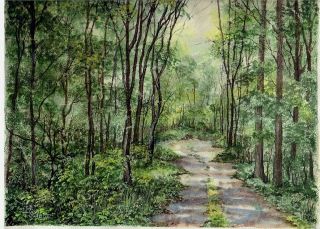 Watercolor Painting Path Through Dense Forest Sabol