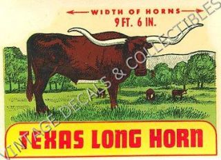Vintage Texas Long Horn Souvenir State Travel Water Slide Luggage
