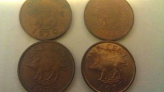 World Coins Bermuda One Cent Coin Featuring Pig Boar