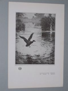1921 Frank w Benson Illustrations Prints Birds Sailboat