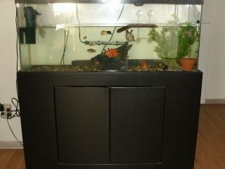 55 Gallon Fish Tank Aquarium w/ Hood Lights & Cabinet Stand (Southern