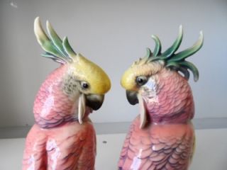  Karl Ens VOLKSTEADT DRESDEN PORCELAIN Cockatoo Parrot Bird FIGURES 8