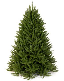 Frasier Fir Artificial Christmas Tree Made in USA