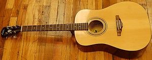 George Washburn Lyon LG1PAK Acoustic Guitar