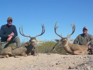 Trophy Arizona Mule Deer Hunt